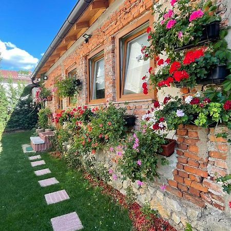 Flower House In The City Center! Prishtinë Ngoại thất bức ảnh