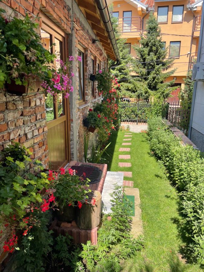 Flower House In The City Center! Prishtinë Ngoại thất bức ảnh